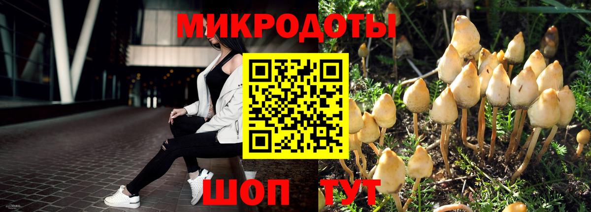 Мелеуз  Псилоцибиновые грибы MAGIC MUSHROOMS  как найти наркотики  Вход с VPN 