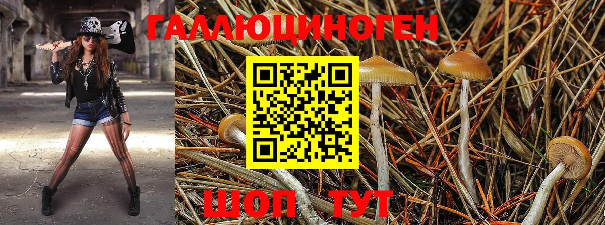 Галлюциногенные грибы MAGIC MUSHROOMS Мелеуз